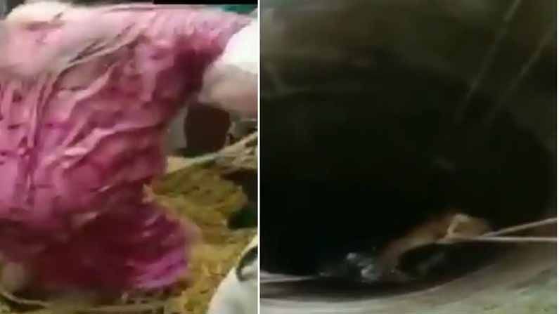 Viral Video: 50 అడుగుల లోతు బావిలో పడినా ఆమె బతికింది..! వీడియో చూస్తే షాక్ అవుతారు..