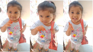 Viral Video: అడవి దున్నను నోటకరిచిన సింహం.. వేటలో షాకింగ్ ట్విస్ట్.. చూస్తే ఆశ్చర్యపోతారంటే!