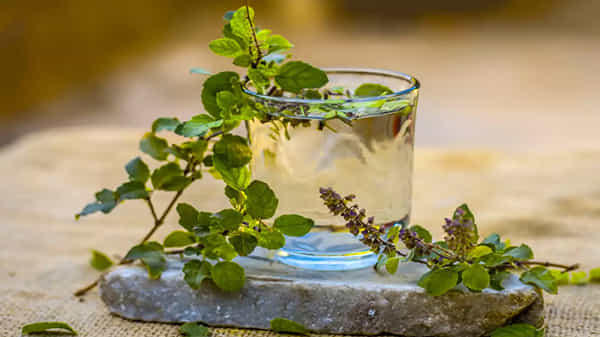 Tulasi Water: పరగడుపున తులసి నీరు తాగితే కడుపు నొప్పి తగ్గినట్లే.. అనారోగ్య సమస్యలు ఫసక్.. మరిన్ని లాభాలు..