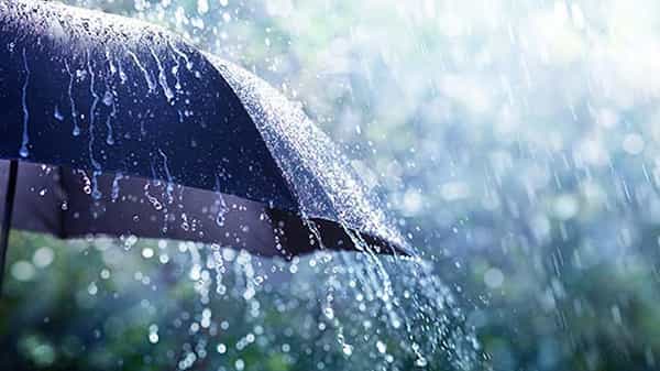 AP Weather Report: బంగాళాఖాతంలో కొనసాగుతోన్న అల్పపీడనం.. ఏపీలోని పలు ప్రాంతాల్లో భారీ వర్షాలు కురిసే అవకాశం..