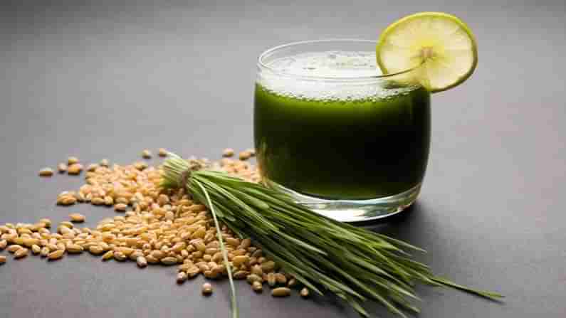 Wheatgrass: మలబద్ధకం, గర్భసంబంధం వ్యాధులతో బాధపడేవారికి దివ్యౌషధం ఈ రసం.. రోజు 4 గ్లాసులు తాగితే అద్భుత ఫలితం