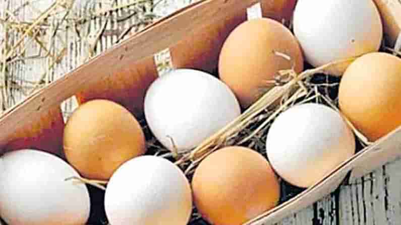 White or Brown Eggs: నాటు కోడి గుడ్లకు, ఫారం కోడి గుడ్లకు తేడాలేంటి..! ఈ రెండిటిలో ఆరోగ్యానికి ఏవి మంచివి..