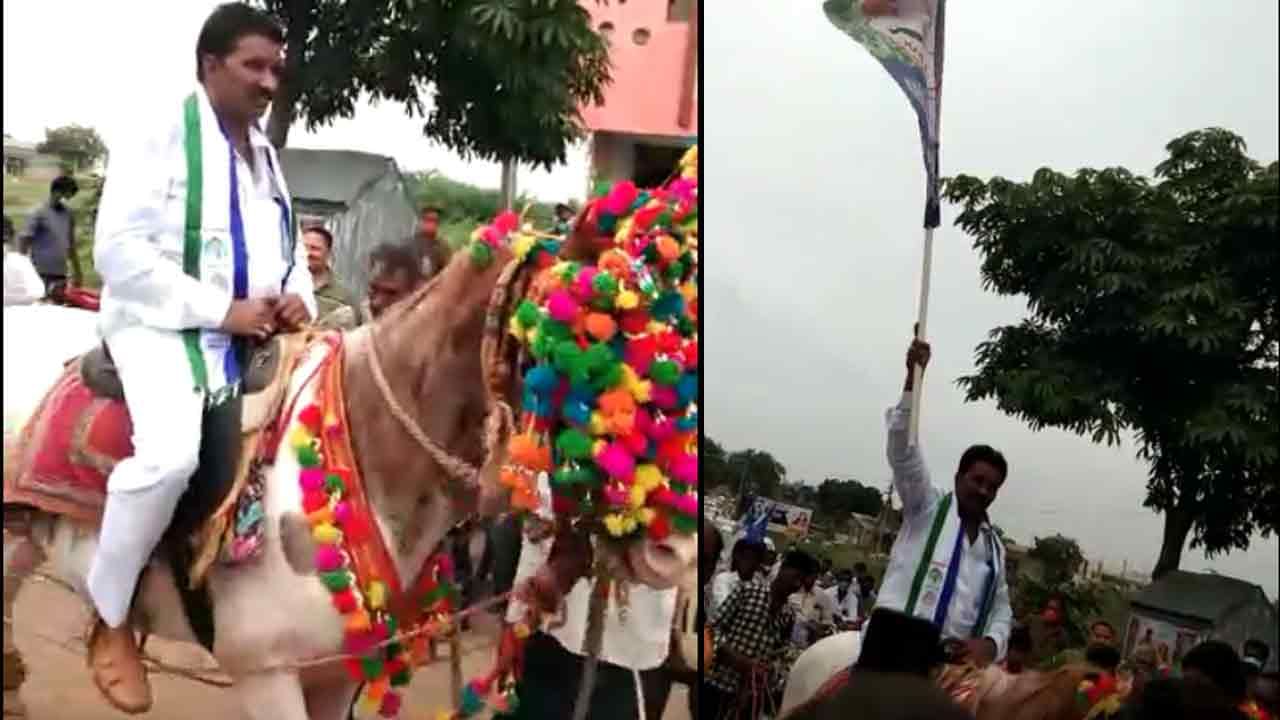 ZPTC Procession: గుర్రంపై ప్రత్తిపాడు జెడ్పీటీసీ కృష్ణారెడ్డి ఊరేగింపు