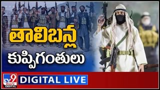 Afghanistan Crisis:  తాలిబన్లపై మరోసారి పంజా విసిరిన పంజ్‌షేర్‌ .. తాజాగా 350 మంది హతం..కీలక ప్రకటన చేసిన నార్తర్న్‌ అలయెన్స్‌..