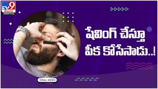 Viral Video: ఎలుగుబంట్ల ఫుట్‌బాల్‌ మ్యాచ్‌.. అదుర్స్‌.. వీడియో