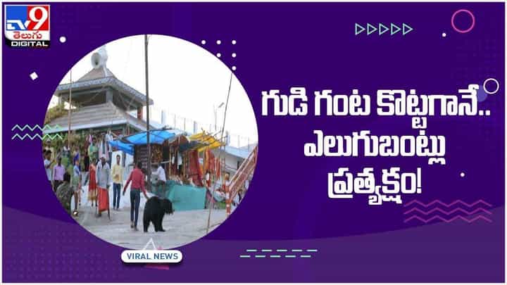 Viral Video: చత్తీస్ఘడ్ అటవీ ప్రాంతంలోని చండీ దేవాలయంలో అద్భుతం.. గుడి గంట కొట్టగానే..?? వీడియో Viral Video: చత్తీస్ఘడ్ అటవీ ప్రాంతంలోని చండీ దేవాలయంలో అద్భుతం.. గుడి గంట కొట్టగానే..?? వీడియో