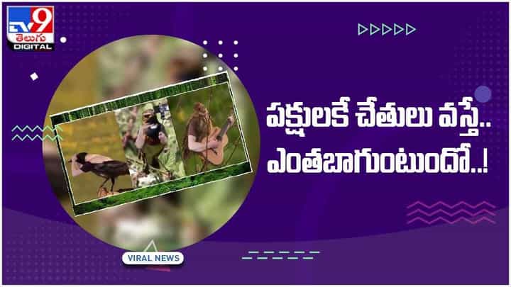 పక్షులకే చేతులొస్తే ఎలా ఉంటుందో తెలుసా.. ఊహలకు దృశ్య రూపం ఈ వీడియో పక్షులకే చేతులొస్తే ఎలా ఉంటుందో తెలుసా.. ఊహలకు దృశ్య రూపం ఈ వీడియో