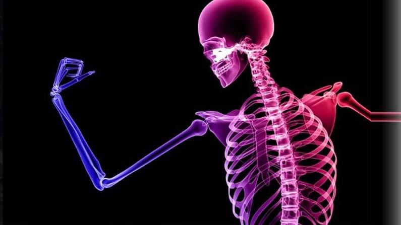 Bone Health: ఎముకలు ఆరోగ్యంగా ఉండాలంటే.. ఈ ఆకుకూర, పండ్లు తినండి చాలు..