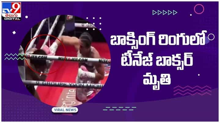 బాక్సింగ్ పోటీలో విషాదం.. ఐదో రోజు దుర్మరణం.. వీడియో బాక్సింగ్ పోటీలో విషాదం.. ఐదో రోజు దుర్మరణం.. వీడియో