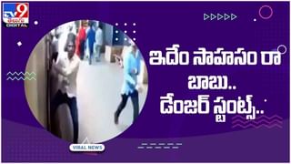 Viral Photo: నిటారు కొండపైకి ఎక్కిన చిరుత.. సీన్ మాములుగా ఉండదు.. చూస్తే షాక్ అవ్వాల్సిందే.!