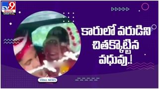 Viral Video: స్టేడియం పైకప్పు నుంచి కింద పడబోయిన పిల్లి..  ప్రేక్షకుల సమయస్ఫూర్తితో ఎలా ఆదుకున్నారో తెలుసా? వైరలవుతోన్న వీడియో