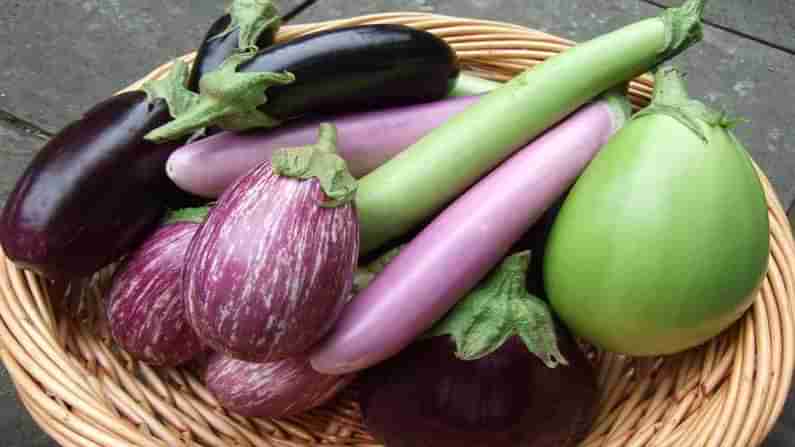 Brinjal Benefits: వంకాయలను తింటే గుండె సమస్యలు ఫసక్.. ప్రయోజనాలు తెలిస్తే ఇట్టే తినేస్తారు..