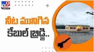 Viral Video: బుడతడు కాదు.. బుల్లి కంప్యూటర్‌.. డోలా కృష్ణ జ్ఞాపక శక్తి అపారం.. వీడియో