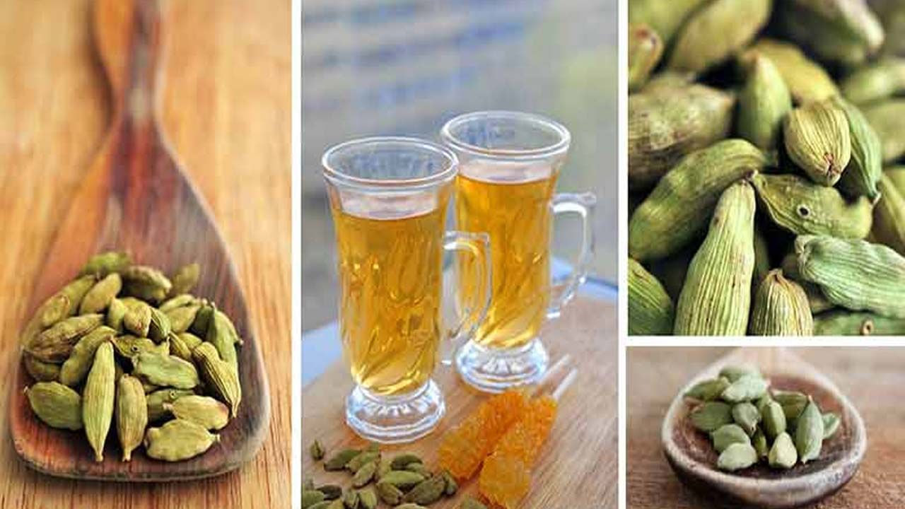 Cardamom Water: ఈ వ్యాధులు ఉన్నవారు యాలకుల నీరు తాగొచ్చా ? శరీరంలో ఎలాంటి ప్రభావం చూపిస్తాయో తెలుసుకొండి..