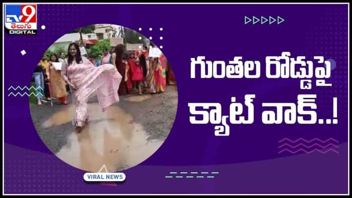 గుంతల రోడ్డుపై క్యాట్ వాక్..! వైరల్గా మారిన వీడియో..: Cat walk on pothole road video గుంతల రోడ్డుపై క్యాట్ వాక్..! వైరల్గా మారిన వీడియో..: Cat walk on pothole road video