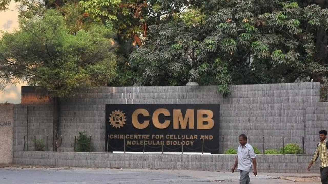 CCMB Recruitment: సీసీఎంబీ హైదరాబాద్‌లో సైంటిస్టు ఉద్యోగాలు.. నెలకు రూ. 2 లక్షలకు పైగా జీతం పొందే అవకాశం.
