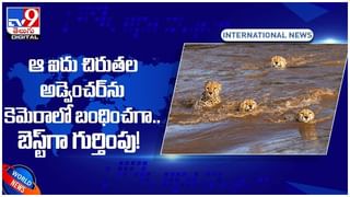 China Earthquake: చైనాను వణికిస్తున్న వరుస భూకంపాలు.. అర్ధరాత్రి మళ్లీ ప్రకంపనలు..