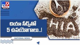 Mushrooms: సంప్రదాయవైద్యంలో చైనా, జపాన్‌లో ఇప్పటికీ పుట్ట గొడుగులది అగ్రస్థానమే.. మష్రూమ్స్‌తో ఆరోగ్య ప్రయోజనాలు ఎన్నో..