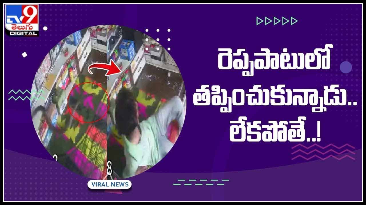 రెప్పపాటులో తప్పించుకున్నాడు.. లేకపోతే పాము చేతిలో బలే..!(వీడియో): Snake Attack Viral Video.