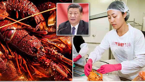 China Indirect War: ఆస్ట్రేలియా - చైనాల మధ్య కోల్డ్ వార్కు కారణమవుతున్న రొయ్యలు..ఎలాగంటే..