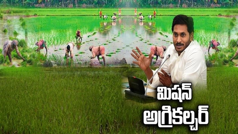 CM Jagan Review: వ్యవసాయ శాఖపై సీఎం జగన్ రివ్యూ.. అధికారులకు కీలక ఆదేశాలు