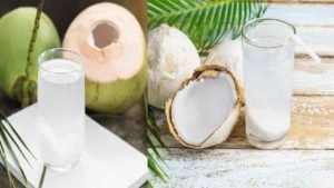 Coconut Benefits: కొబ్బరి బోండాలోని నీరు తాగి.. కొబ్బరి పడేస్తున్నారా.. అది తింటే కలిగే ఆరోగ్య ప్రయోజలు ఎన్నో