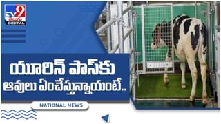 Viral Video: ఈ బైక్‌ రైడర్‌  వేగంగా వెళ్లే బస్సుకింద పడిపోయినా బతికిపోయాడు.. వీడియో