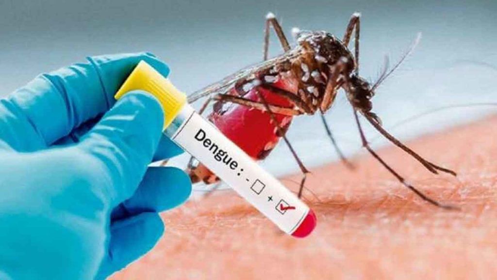 Dengue: అక్కడ అల్లాడిస్తోన్న డెంగ్యూ.. వేలల్లో నమోదవుతోన్న కేసులు.. ఆస్పత్రులన్నీ ఫుల్ Dengue: అక్కడ అల్లాడిస్తోన్న డెంగ్యూ.. వేలల్లో నమోదవుతోన్న కేసులు.. ఆస్పత్రులన్నీ ఫుల్