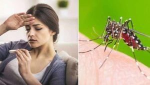 Dengue Fever:  ప్రతి జ్వరం డెంగు కాదు.. డెంగు జ్వరం లక్షణాలు.. తీసుకోవాల్సిన చికిత్స, నివారణ చర్యలు ఏమిటంటే..