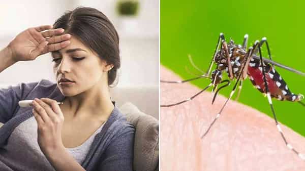 Dengue Fever: ప్రతి జ్వరం డెంగు కాదు.. డెంగు జ్వరం లక్షణాలు.. తీసుకోవాల్సిన చికిత్స, నివారణ చర్యలు ఏమిటంటే..