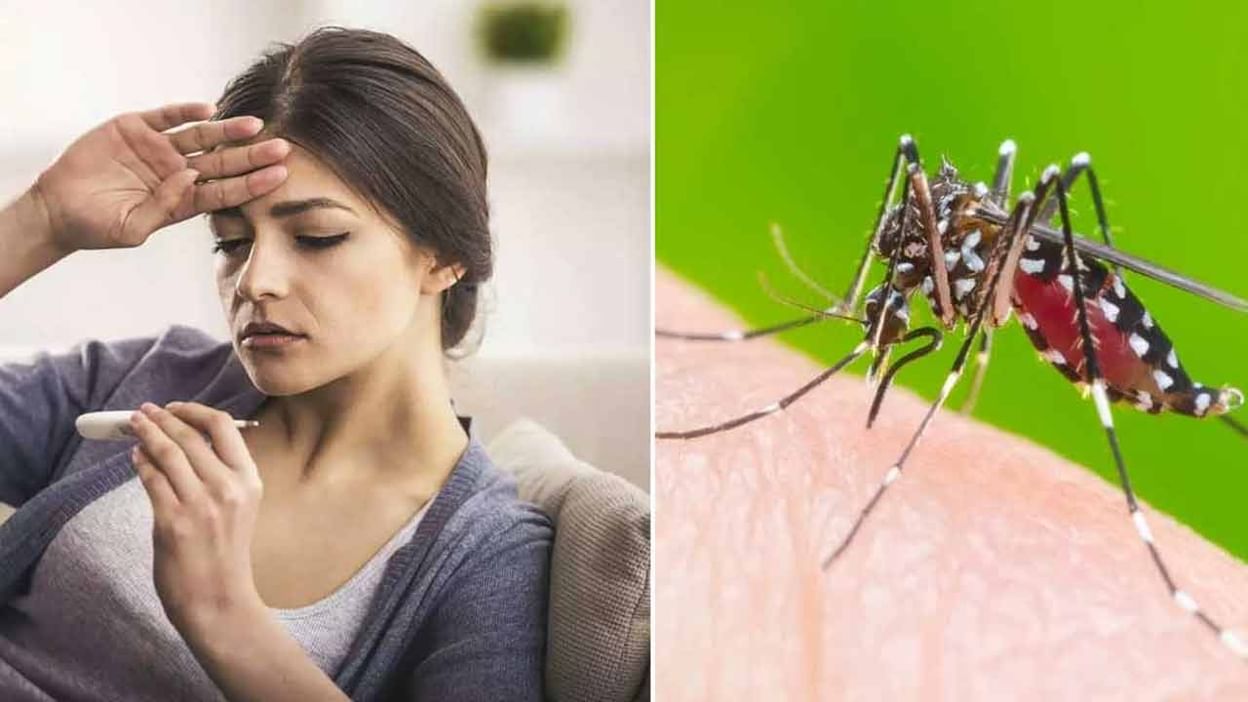 Dengue Fever: ప్రతి జ్వరం డెంగు కాదు.. డెంగు జ్వరం లక్షణాలు.. తీసుకోవాల్సిన  చికిత్స, నివారణ చర్యలు ఏమిటంటే.. | Dengue fever symptoms ayurvedic  treatment | TV9 Telugu