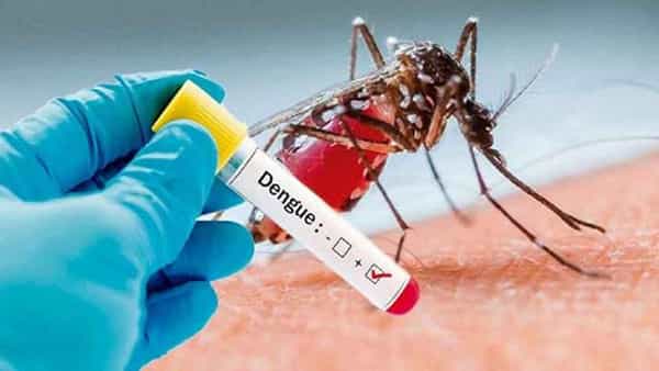 Dengue: అక్కడ అల్లాడిస్తోన్న డెంగ్యూ.. వేలల్లో నమోదవుతోన్న కేసులు.. ఆస్పత్రులన్నీ ఫుల్