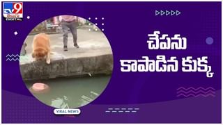 Viral Video: ఇదేం ఫీట్‌రా స్వామీ.. పోలీసులకు దొరికాడు.!! సోషల్‌ మీడియాలో వైరల్‌ అవుతున్న ఈ వీడియో