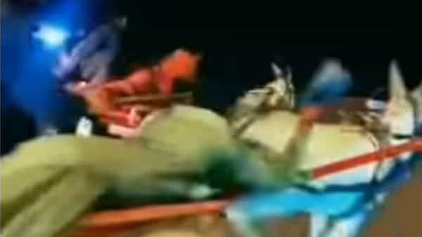 Shocking Video: హార్స్ పవర్ తెలుసు.. మరి డాంకీ పవర్ చూశారా?.. ఈ వీడియో చూస్తే నోరెళ్లబెడతారంతే..