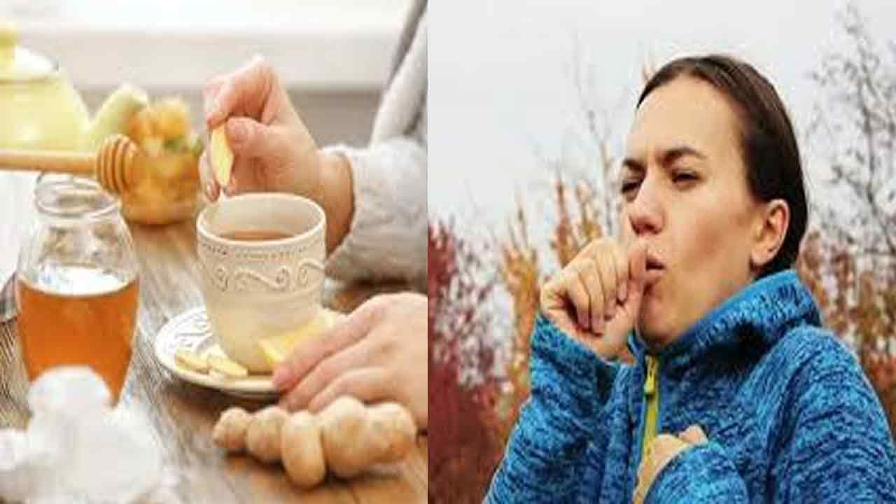 Dry Cough-Ayurvedic Tips: పొడి దగ్గు ఇబ్బంది పెడుతుందా.. ఎన్ని మెడిసిన్స్ వాడినా తగ్గలేదా.. ఈ వంటింటి చిట్కాలు మీకోసమే