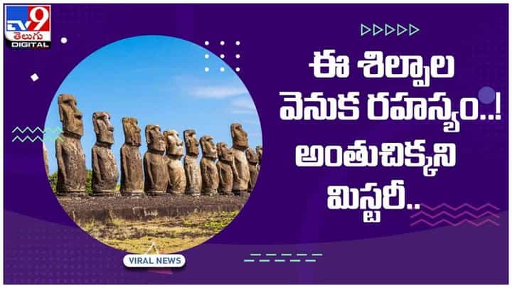 Viral Video: ఈస్టర్ ఐర్లాండ్ దీవిలో శిల్పాల వెనుక రహస్యం..!! అంతుచిక్కని మిస్టరీ.. వీడియో Viral Video: ఈస్టర్ ఐర్లాండ్ దీవిలో శిల్పాల వెనుక రహస్యం..!! అంతుచిక్కని మిస్టరీ.. వీడియో