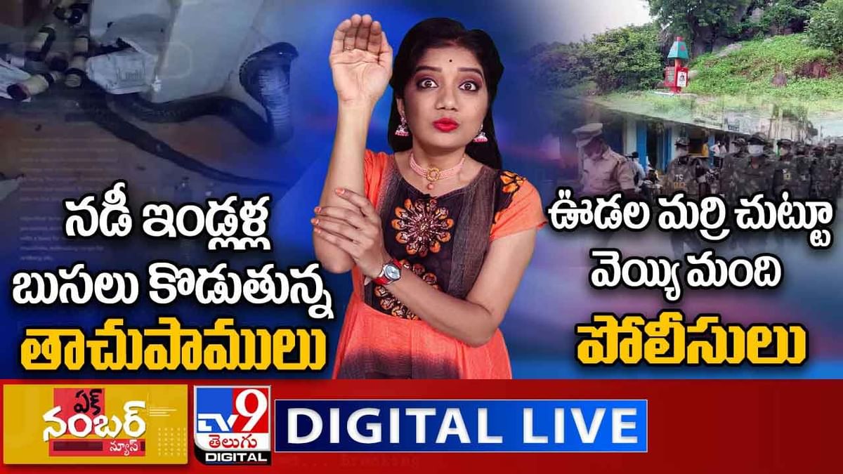 Ek Number News: నడీ ఇండ్లళ్ల బుసలు కొడుతున్న తాచుపాములు.. లైవ్ వీడియో
