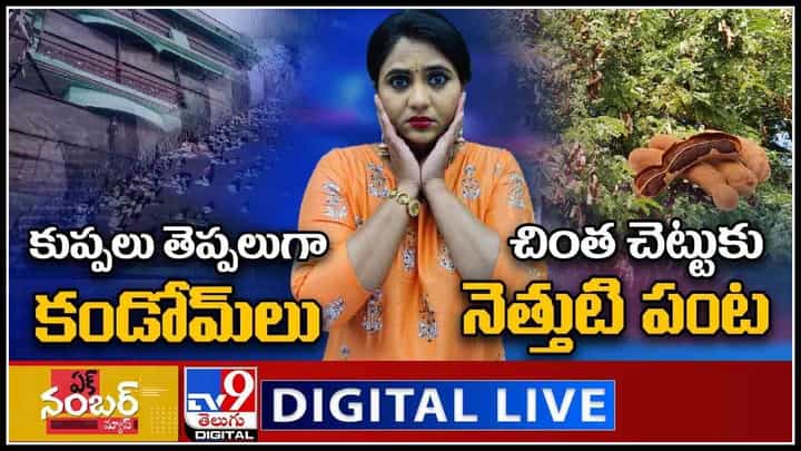 Ek Number News Live Video: కుప్పలు తెప్పలుగా కండోమ్లు.. చింత చెట్టుకు నెత్తుటి పంట.. (వీడియో) Ek Number News Live Video: కుప్పలు తెప్పలుగా కండోమ్లు.. చింత చెట్టుకు నెత్తుటి పంట.. (వీడియో)