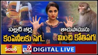 women MP’s in Araku video: రోకలి దంచుతూ..వనదేవతకు పూజలు చేస్తూ.. తిరగలి తిప్పిన మహిళా ఎంపీలు..(వీడియో)