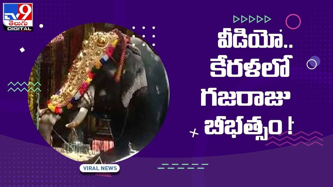 Viral Video: కేరళ  విల్వద్రినాథ ఆలయంలో గజరాజు బీభత్సం.. వీడియో