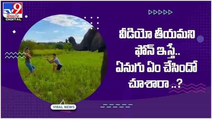 Viral Video: వీడియో తీయమని ఫోన్ ఇస్తే.. ఏనుగు ఏం చేసిందో చూశారా..? వీడియో Viral Video: వీడియో తీయమని ఫోన్ ఇస్తే.. ఏనుగు ఏం చేసిందో చూశారా..? వీడియో