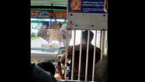 Viral Video: ఒక్కసారిగా బస్సు మీదికొచ్చిన గజరాజు.. ఆందోళనలో ప్రయాణికులు.. డ్రైవర్ ఏం చేశాడంటే..?