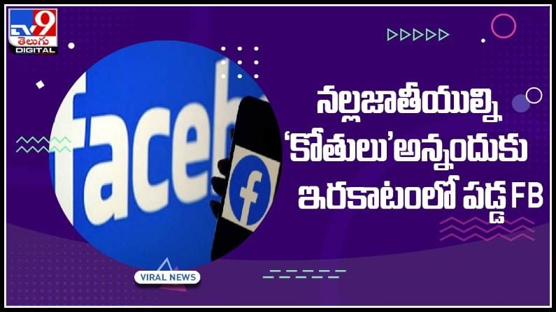 Face Book: నల్లజాతీయుల్ని 'కోతులు' అన్నందుకు ఇరకాటంలో పడ్డ FB ..!(వీడియో).