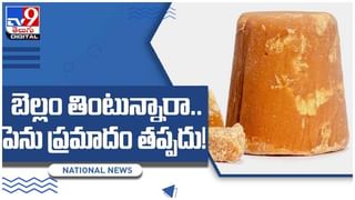 డయాబెటిస్‌కు చెక్ పెట్టే అద్భుత ఫలం.. ఈ పండులోని స్పెషాలిటీ ఏంటో తెలిస్తే అస్సలు వదిలిపెట్టరు..