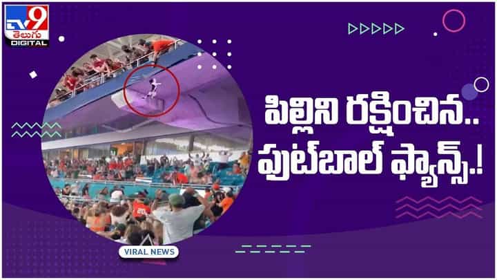 Viral Video: పిల్లిని సూపర్గా రక్షించిన ఫుట్బాల్ ఫ్యాన్స్.. వైరలవుతోన్న వీడియో Viral Video: పిల్లిని సూపర్గా రక్షించిన ఫుట్బాల్ ఫ్యాన్స్.. వైరలవుతోన్న వీడియో