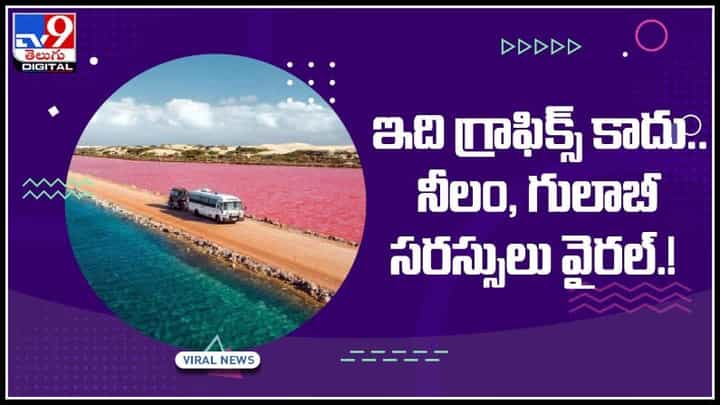 Viral Video: దక్షిణ ఆస్ట్రేలియాలో అద్భుత లోకం..! ఇది గ్రాఫిక్స్ కానే కాదు.. సరస్సు వీడియో... Viral Video: దక్షిణ ఆస్ట్రేలియాలో అద్భుత లోకం..! ఇది గ్రాఫిక్స్ కానే కాదు.. సరస్సు వీడియో...