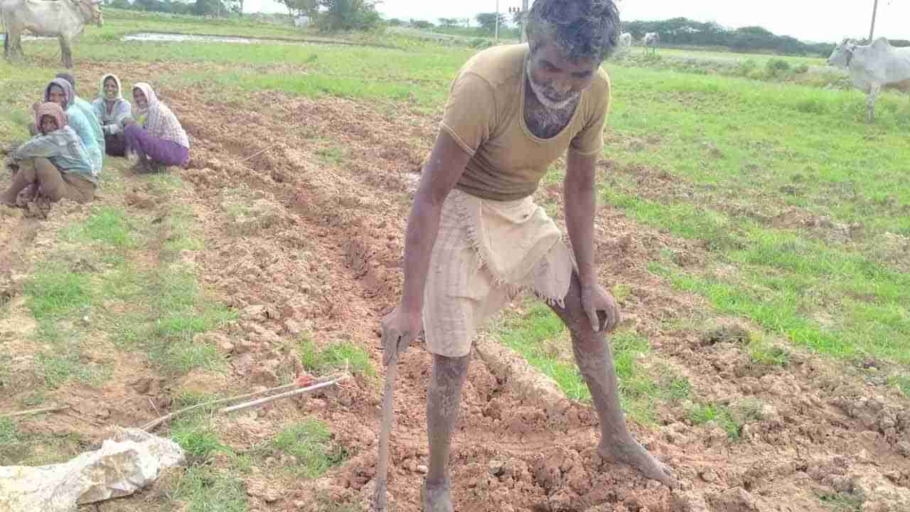 Viral News: వరి నాట్లు వేయడానికి వచ్చిన రైతుకు ఊహించని షాక్.. కనిపించిన దృశ్యానికి ఫ్యూజులు ఔట్.!