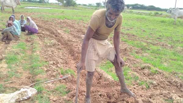 Viral News: వరి నాట్లు వేయడానికి వచ్చిన రైతుకు ఊహించని షాక్.. కనిపించిన దృశ్యానికి ఫ్యూజులు ఔట్.!