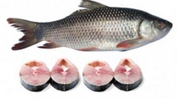 Fish Eggs Benefits: చేప గుడ్లతో ఎన్నో ఆరోగ్య ప్రయోజనాలు..! తెలిస్తే అస్సలు వదలరు..