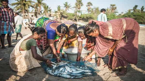Vizag Footpaths: ఇక నుంచి వైజాగ్ ఫుట్పాత్ల్లో చేపల అమ్మకంపై నిషేధం.. నిబంధనలు ఉల్లంగిస్తే కఠిన చర్యలు